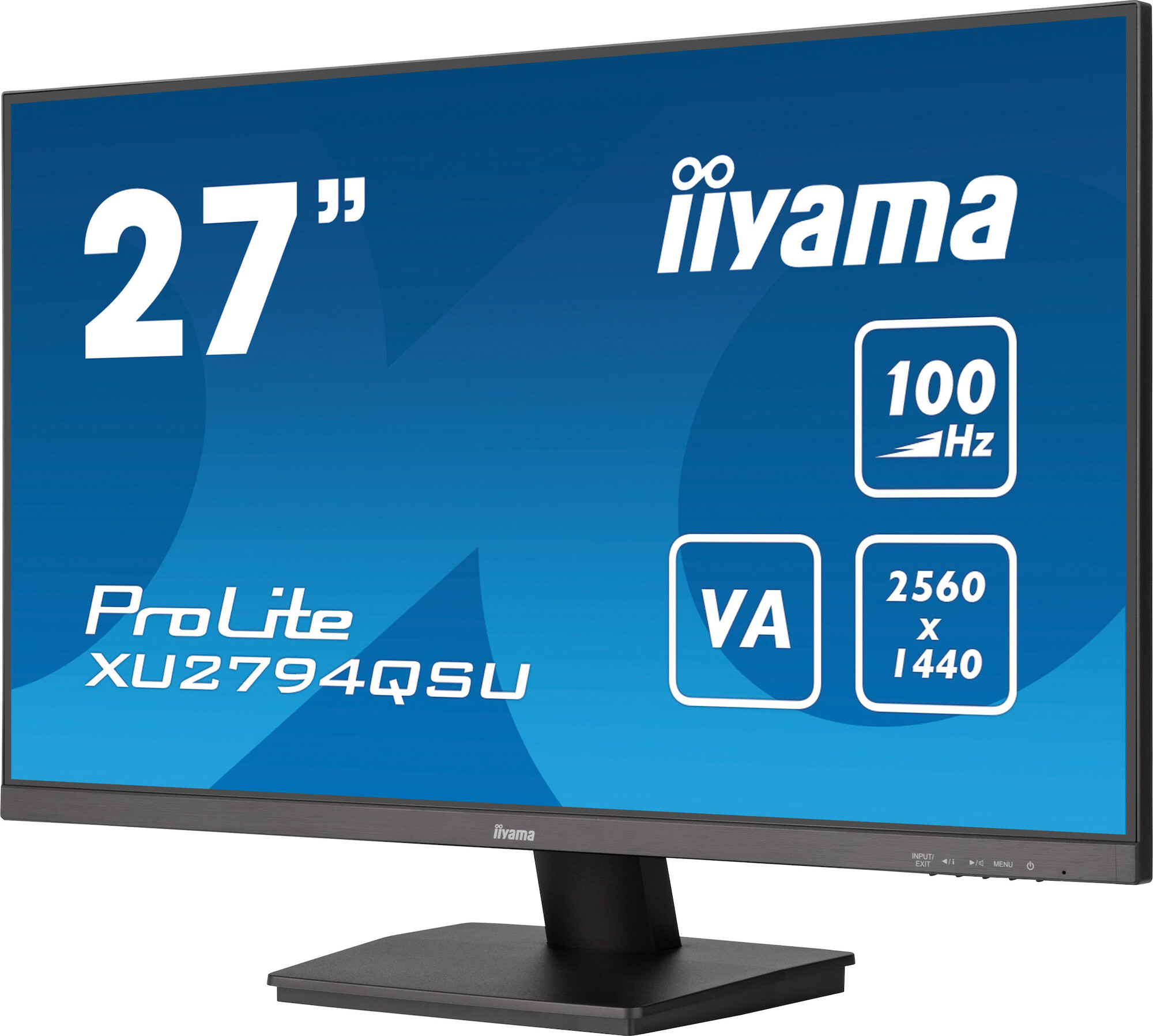 Kupno monitora Iiyama