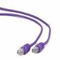 Kabel krosowy Cableexpert UTP CAT5e, fioletowy, 1m
